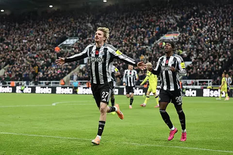 أقصى توتنهام.. نيوكاسل يكمل عقد المتأهلين إلى ربع نهائي كأس كاراباو